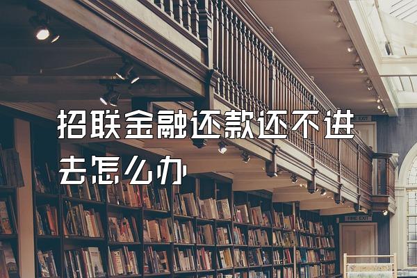 招联金融还款还不进去怎么办