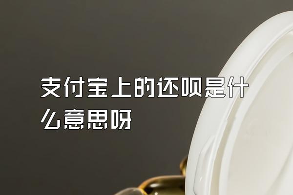 支付宝上的还呗是什么意思呀