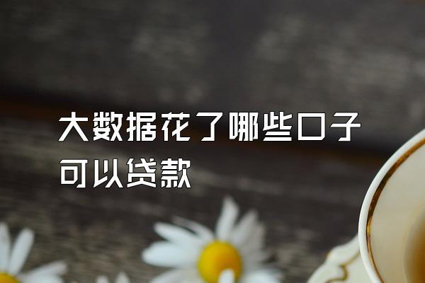大数据花了哪些口子可以贷款