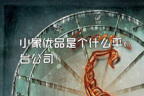 小象优品是个什么平台公司