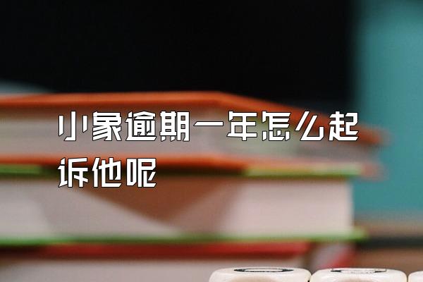 小象逾期一年怎么起诉他呢