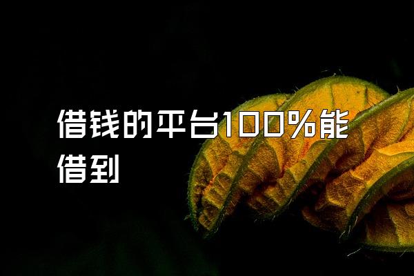借钱的平台100%能借到