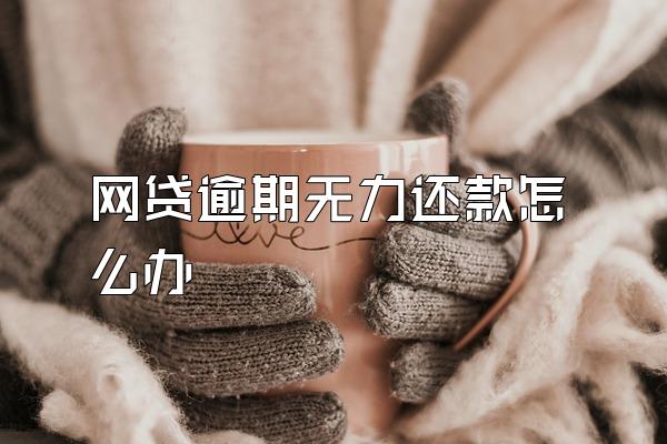 网贷逾期无力还款怎么办