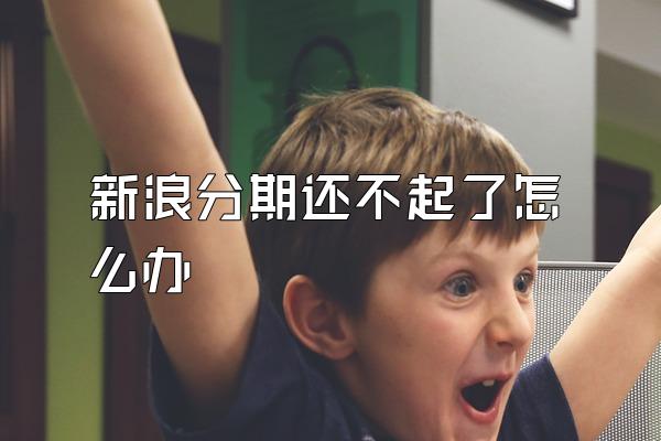 新浪分期还不起了怎么办