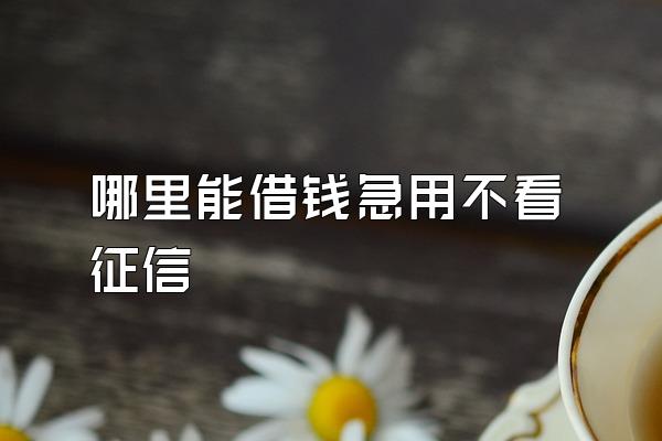 哪里能借钱急用不看征信