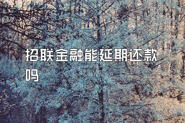 招联金融能延期还款吗