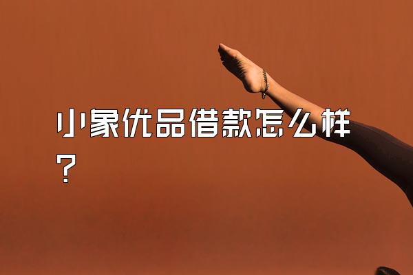 小象优品借款怎么样?