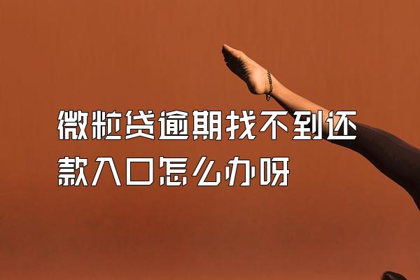 微粒贷逾期找不到还款入口怎么办呀
