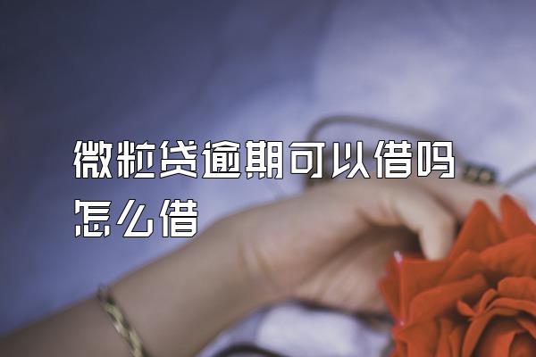 微粒贷逾期可以借吗怎么借