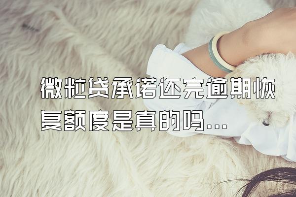 微粒贷承诺还完逾期恢复额度是真的吗吗