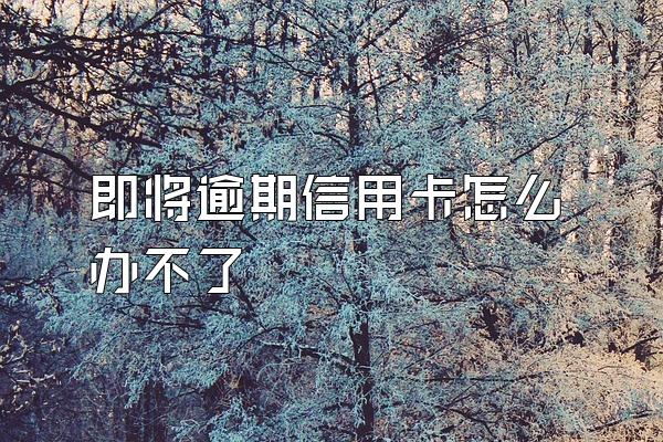 即将逾期信用卡怎么办不了