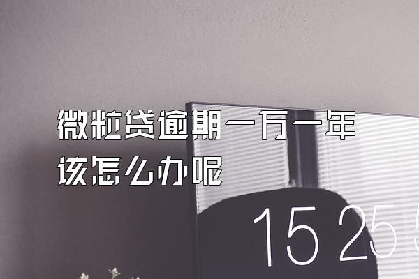 微粒贷逾期一万一年该怎么办呢