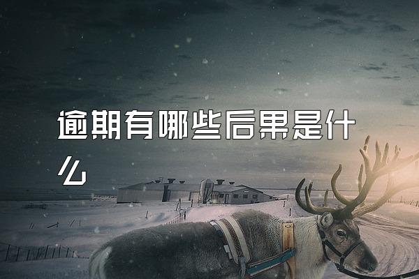 逾期有哪些后果是什么