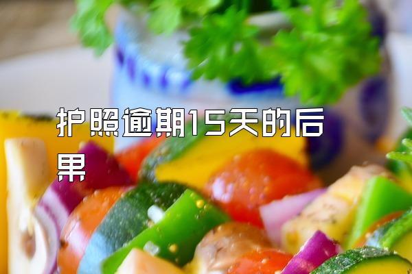 护照逾期15天的后果