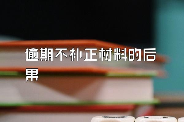 逾期不补正材料的后果