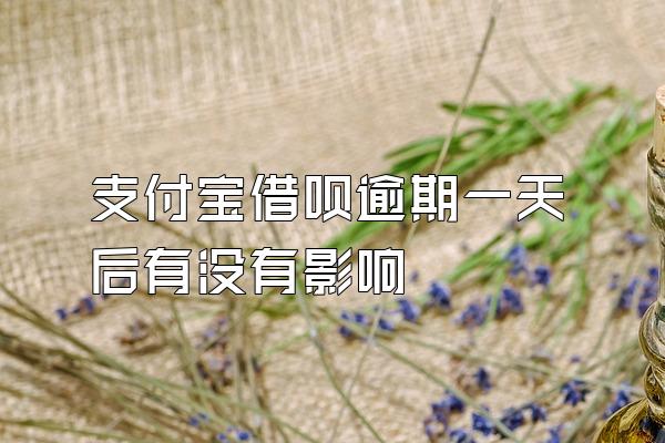 支付宝借呗逾期一天后有没有影响