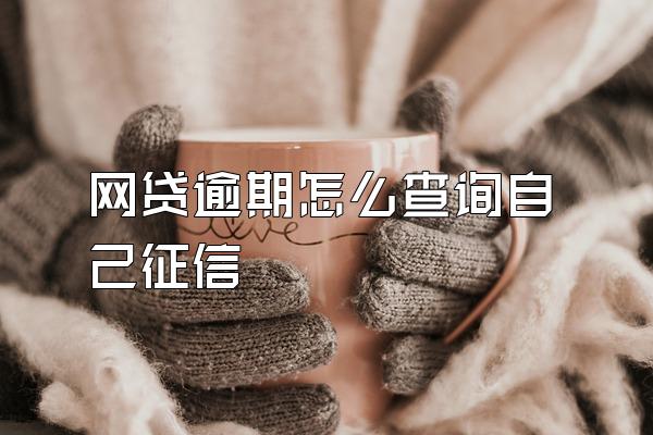 网贷逾期怎么查询自己征信