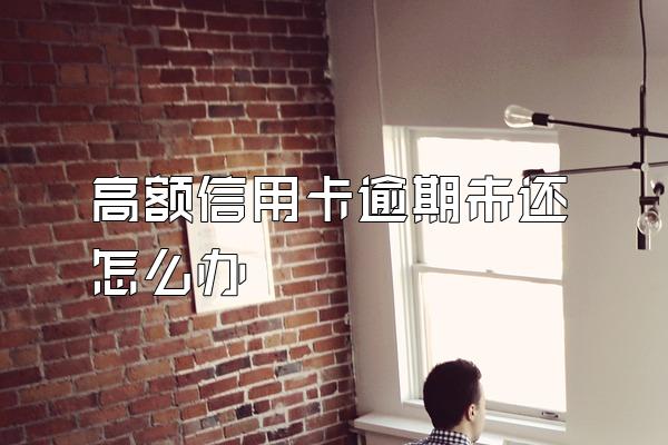 高额信用卡逾期未还怎么办
