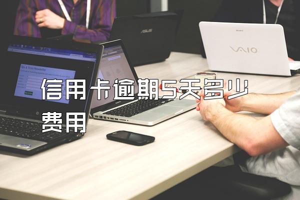 信用卡逾期5天多少费用