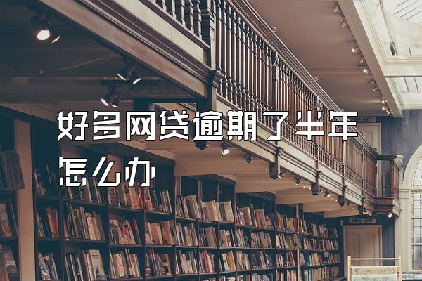 好多网贷逾期了半年怎么办