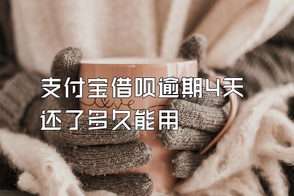 支付宝借呗逾期4天还了多久能用