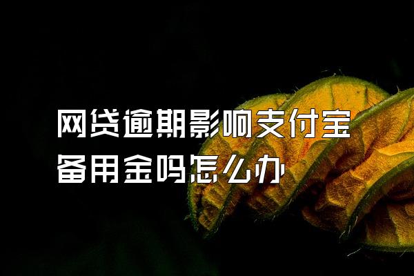网贷逾期影响支付宝备用金吗怎么办