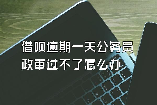 借呗逾期一天公务员政审过不了怎么办