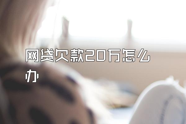 网贷欠款20万怎么办