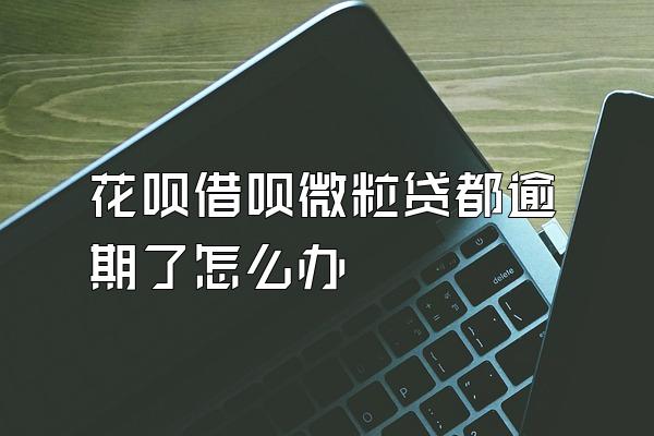 花呗借呗微粒贷都逾期了怎么办