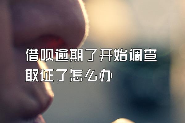 借呗逾期了开始调查取证了怎么办