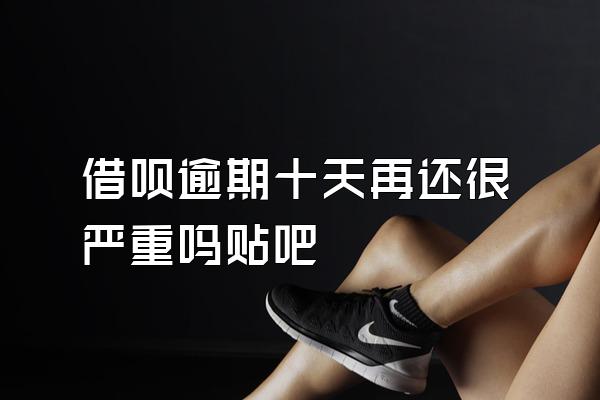 借呗逾期十天再还很严重吗贴吧