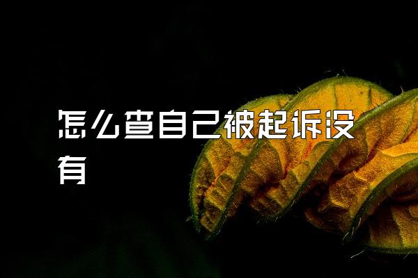 怎么查自己被起诉没有