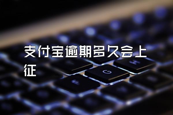支付宝逾期多久会上征