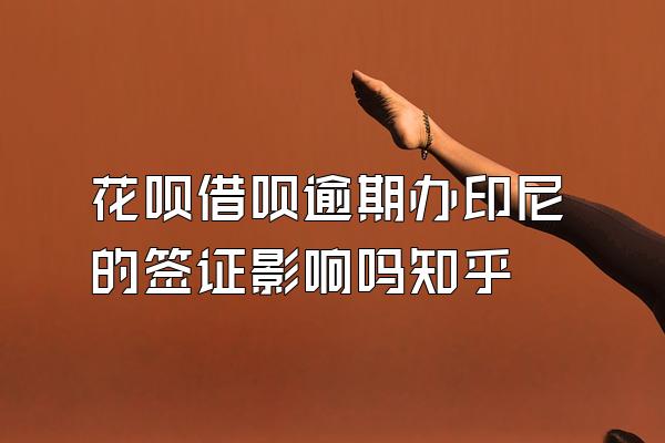 花呗借呗逾期办印尼的签证影响吗知乎