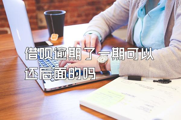 借呗逾期了一期可以还后面的吗
