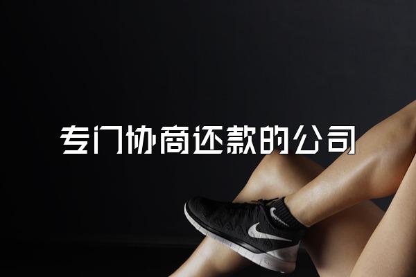 专门协商还款的公司