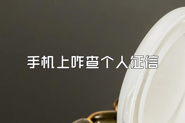 手机上咋查个人征信