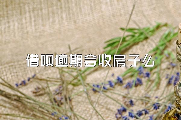 借呗逾期会收房子么