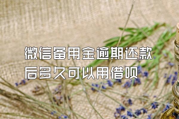 微信备用金逾期还款后多久可以用借呗