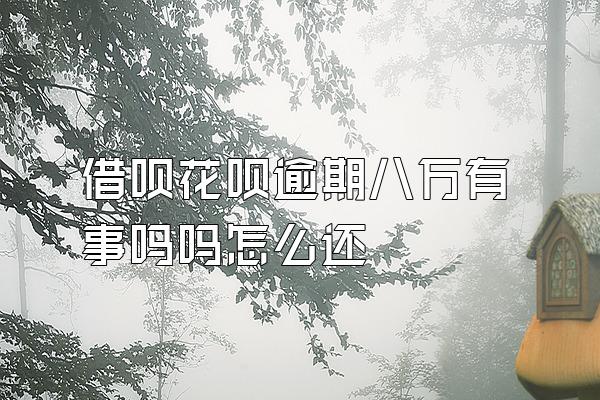 借呗花呗逾期八万有事吗吗怎么还