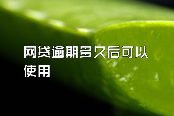 网贷逾期多久后可以使用