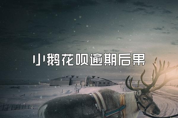 小鹅花呗逾期后果