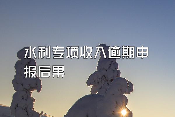 水利专项收入逾期申报后果