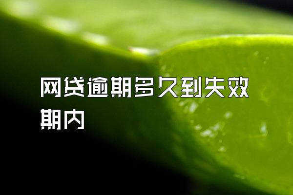 网贷逾期多久到失效期内