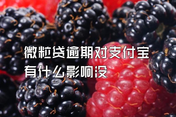 微粒贷逾期对支付宝有什么影响没