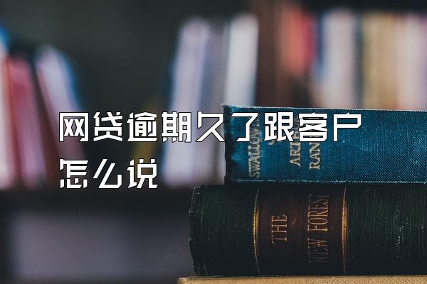 网贷逾期久了跟客户怎么说