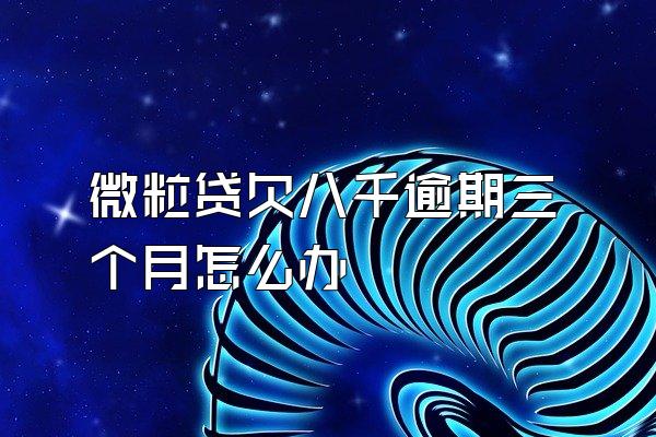 微粒贷欠八千逾期三个月怎么办