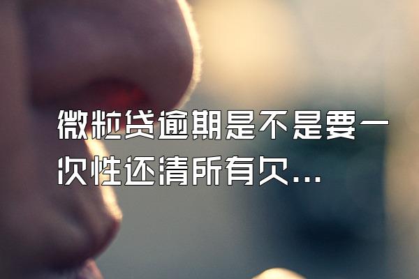 微粒贷逾期是不是要一次性还清所有欠款的人