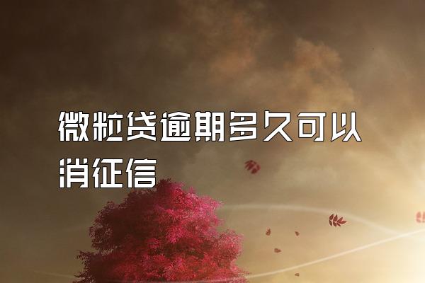 微粒贷逾期多久可以消征信