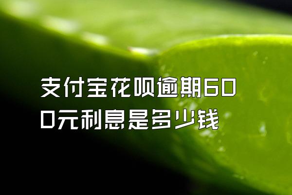 支付宝花呗逾期600元利息是多少钱
